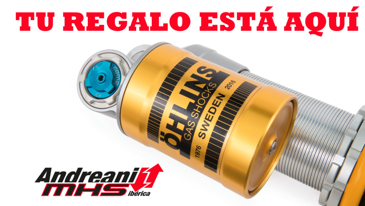 Esta semana Andreani MHS elimina los costes de envío