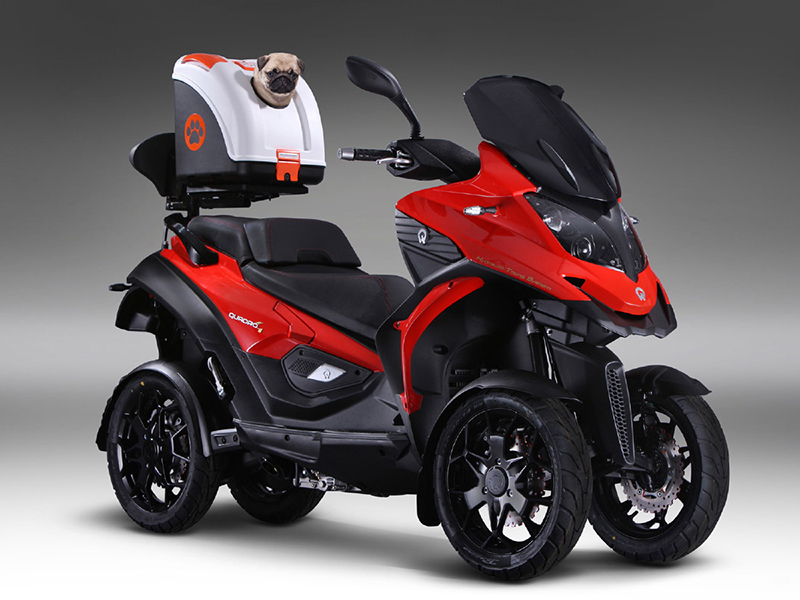Quadro permite moverte con tu mascota