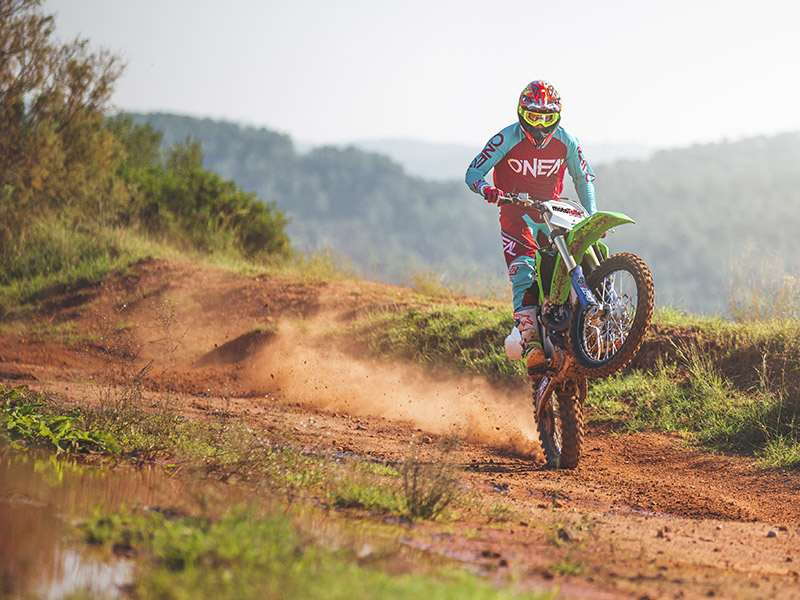 Kawasaki KX450 2019: Renovación resurrectoria