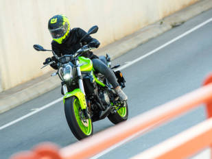Benelli 302S: Fruta fresca Benelli 302S: Fruta fresca