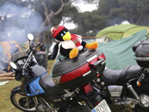Pingüinos 2020 alcanzó los 33.922 asistentes