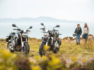 Honda CB 1000R vs CB650R: Bellezas al natural Honda CB 1000R vs CB650R: Bellezas al natural