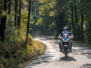 Si vas en moto y eres alérgico…mucha precaución