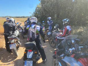 Estos son los seguros de moto más populares