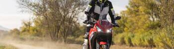 morini-xcape-gold