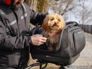 ¡Con tu mascota de ruta!