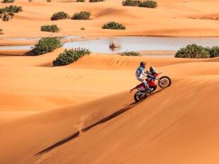 Shad presente en Dakar y Africa Eco Race