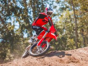 Beta equipará de serie neumáticos Dunlop Geomax en sus gamas de trial y motocross